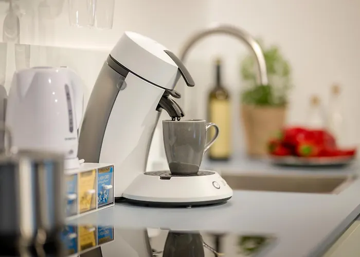 Neueroeffnung Haus Zum Wald